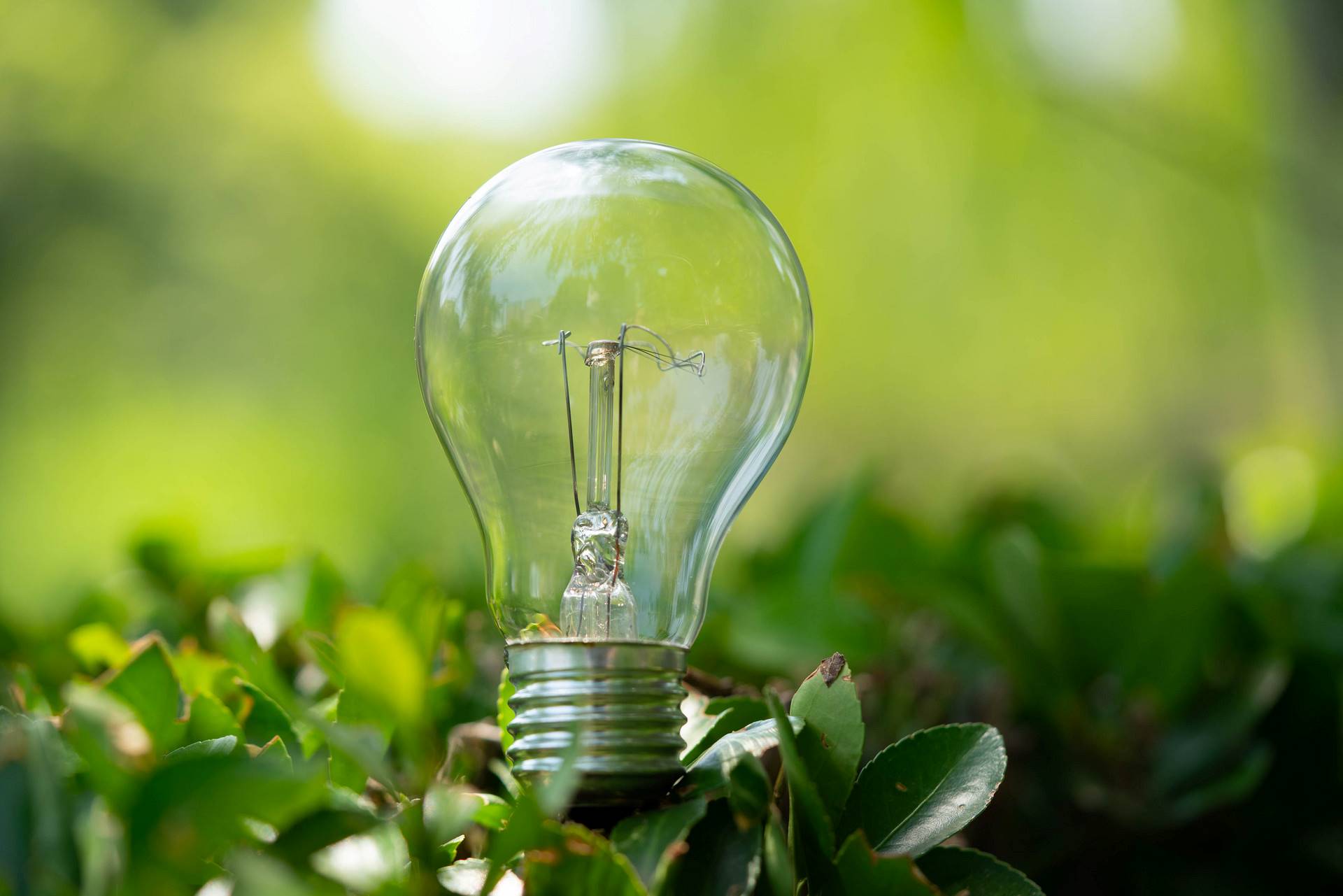 能源治理及使用